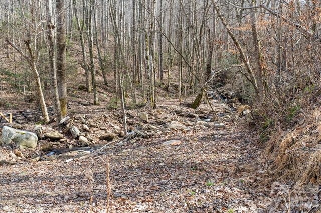 140 Wild Mountain Lane, Barnardsville, NC 28709