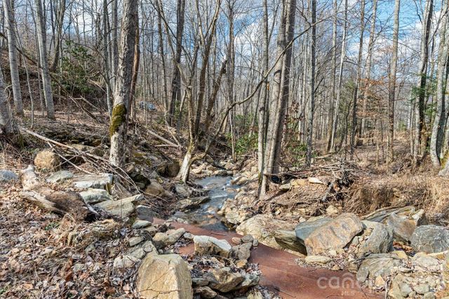 140 Wild Mountain Lane, Barnardsville, NC 28709