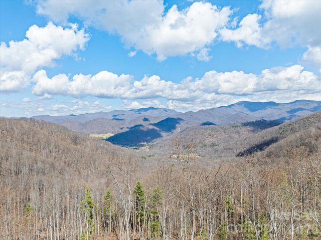 140 Wild Mountain Lane, Barnardsville, NC 28709