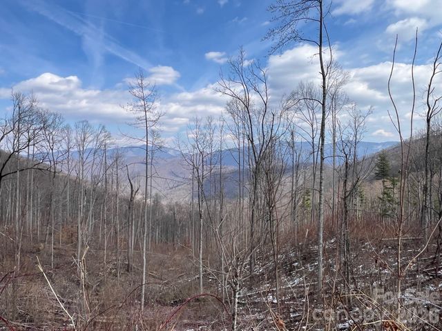 140 Wild Mountain Lane, Barnardsville, NC 28709