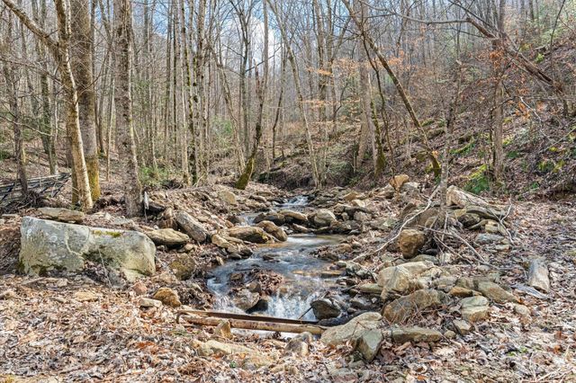 140 Wild Mountain Lane, Barnardsville, NC 28709