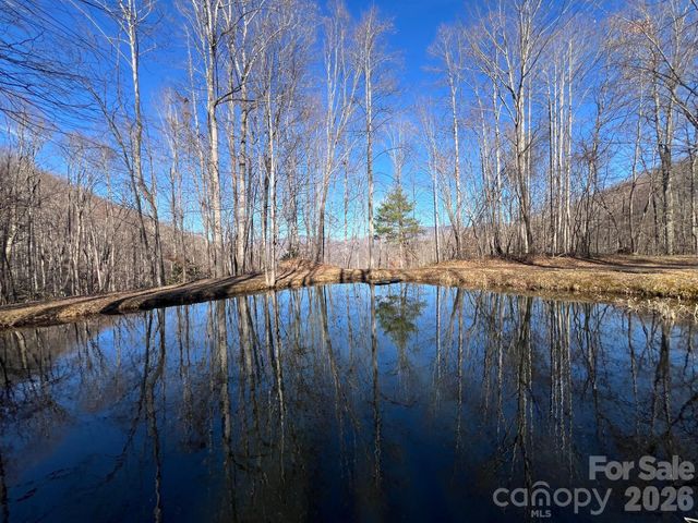 140 Wild Mountain Lane, Barnardsville, NC 28709