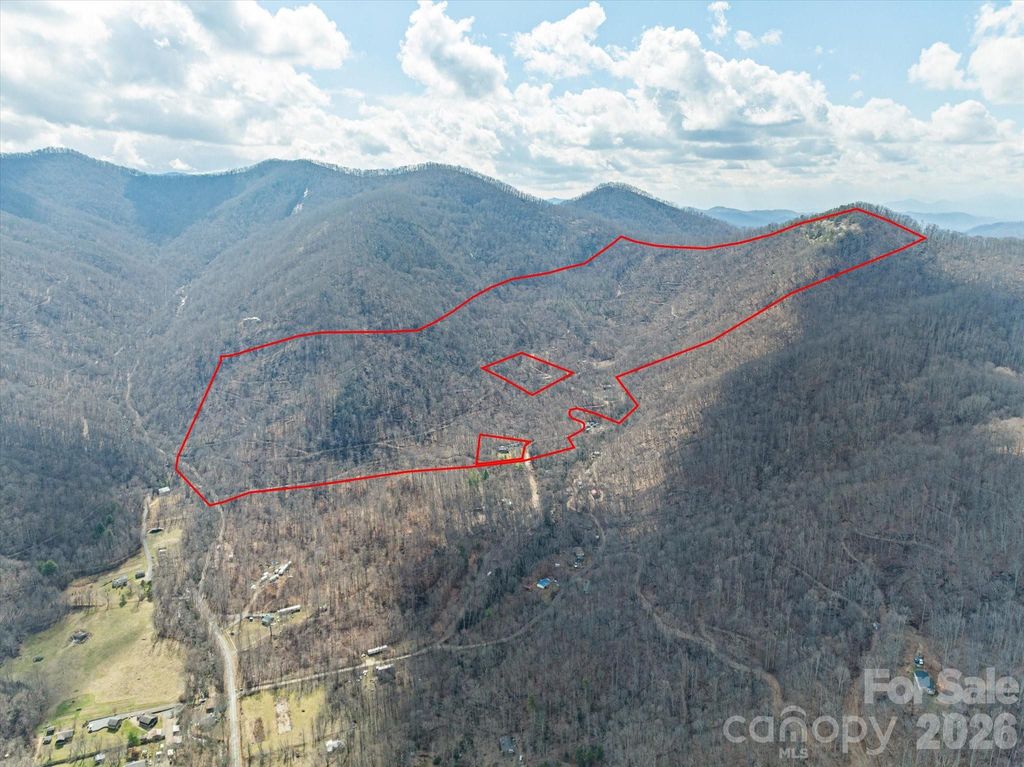 140 Wild Mountain Lane, Barnardsville, NC 28709