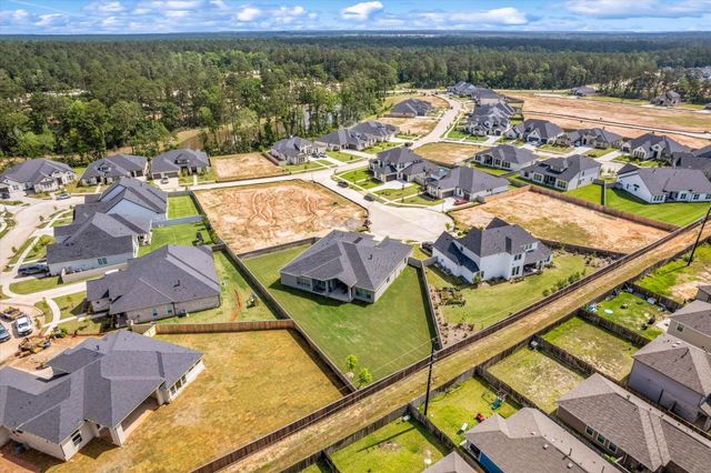 410 Arctic Warbler Court, Magnolia, TX 77354