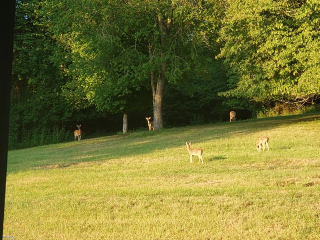 57 Lakeside Dr, Carthage, TN 37030