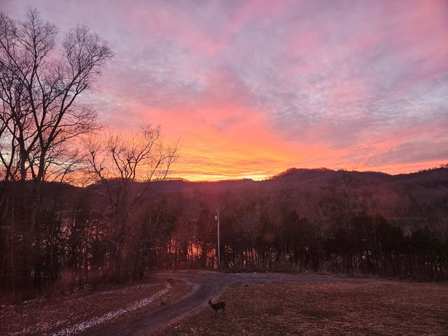 57 Lakeside Dr, Carthage, TN 37030