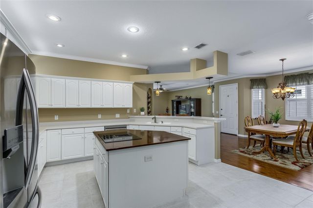 20930 TANGOR ROAD, Land O Lakes, FL 34637