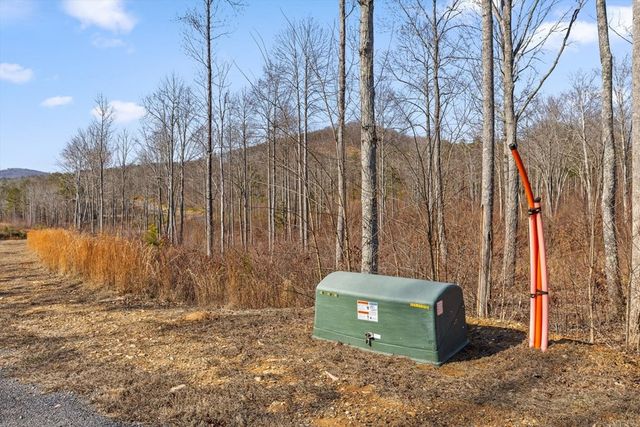 Lot 225 Oak Park Drive, Talking Rock, GA 30175