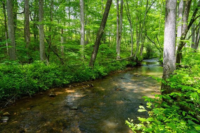 Lot 225 Oak Park Drive, Talking Rock, GA 30175