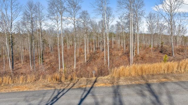 Lot 225 Oak Park Drive, Talking Rock, GA 30175