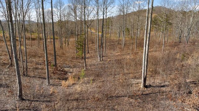 Lot 225 Oak Park Drive, Talking Rock, GA 30175