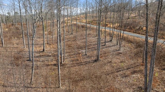 Lot 225 Oak Park Drive, Talking Rock, GA 30175