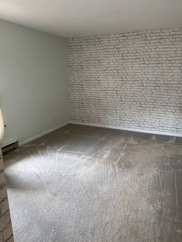 15826 Terrace Drive 0-3, Oak Forest, IL 60452