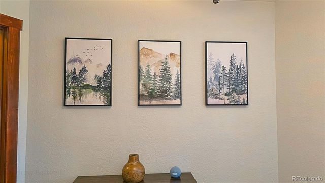 115 County Road 4421 32, Grand Lake, CO 80447