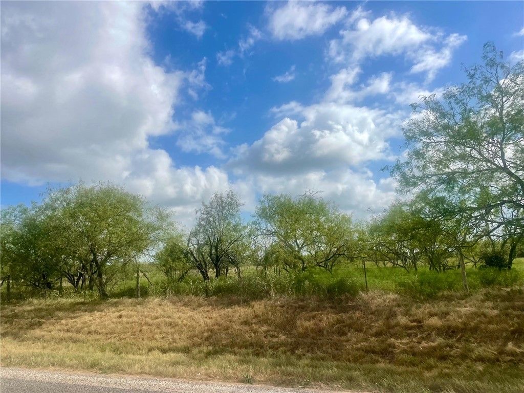 5822 Zweifel, Bryan, TX 77808 — photo 3