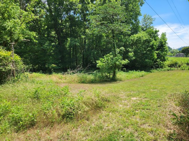 1 Scruggs Hollow Rd, Hartsville, TN 37074