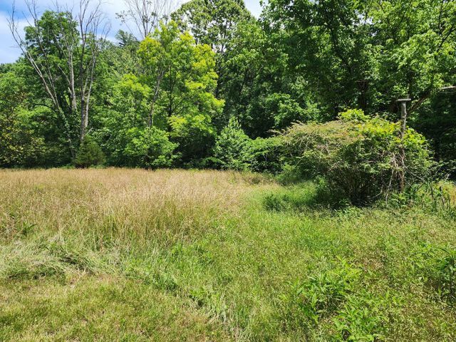 1 Scruggs Hollow Rd, Hartsville, TN 37074