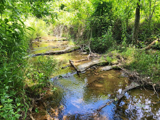 1 Scruggs Hollow Rd, Hartsville, TN 37074