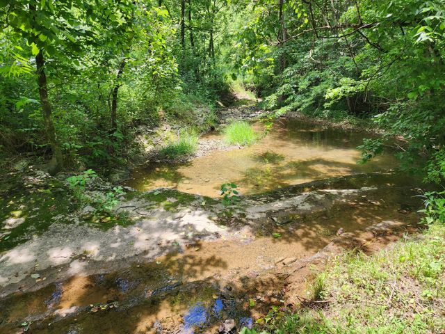 1 Scruggs Hollow Rd, Hartsville, TN 37074