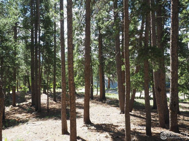 0 Caesar Rd, Black Hawk, CO 80422