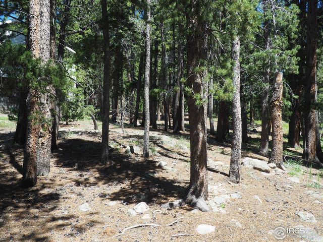 0 Caesar Rd, Black Hawk, CO 80422