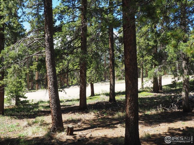 0 Caesar Rd, Black Hawk, CO 80422