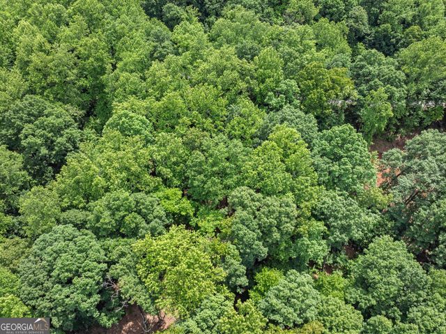 LT 30 Mountainside Drive, Cleveland, GA 30528