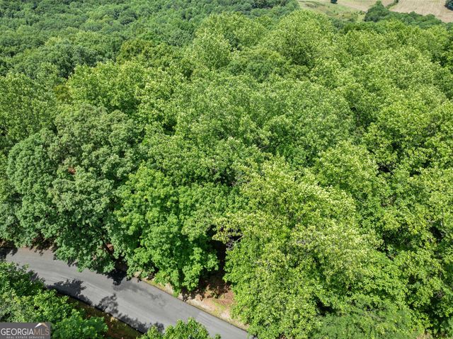 LT 30 Mountainside Drive, Cleveland, GA 30528