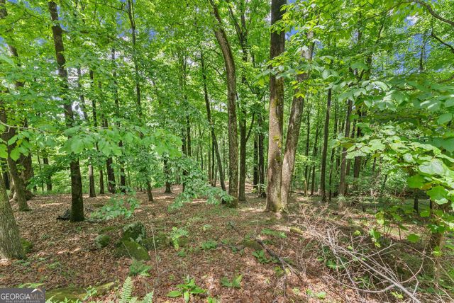 LT 30 Mountainside Drive, Cleveland, GA 30528