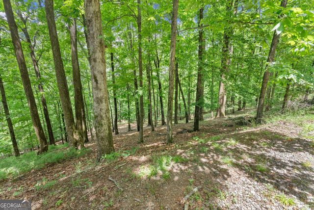 LT 30 Mountainside Drive, Cleveland, GA 30528