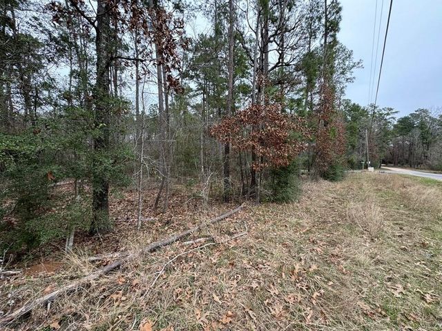 TBD County, Goodrich, TX 77335