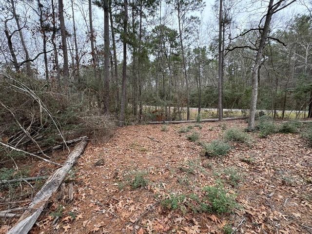 TBD County, Goodrich, TX 77335