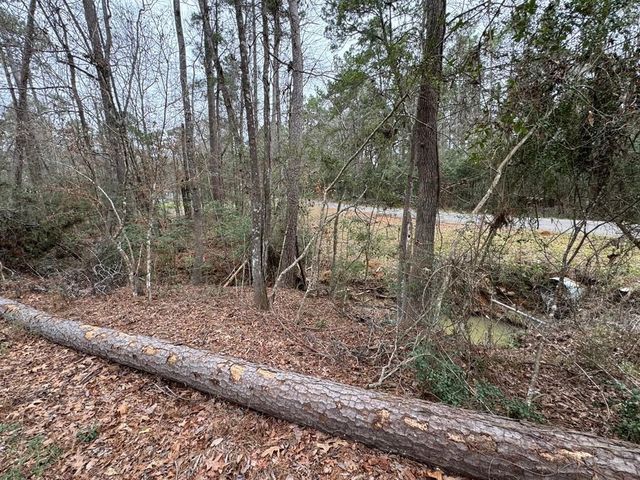 TBD County, Goodrich, TX 77335