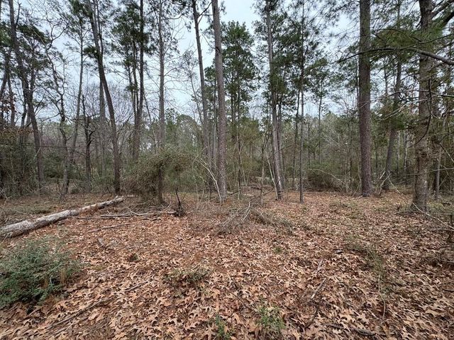 TBD County, Goodrich, TX 77335