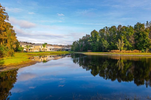 3014 DOWNAN POINT DRIVE, Land O Lakes, FL 34638