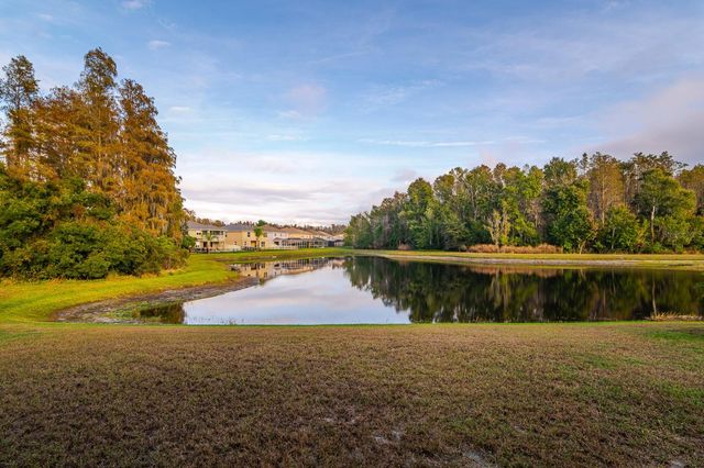 3014 DOWNAN POINT DRIVE, Land O Lakes, FL 34638