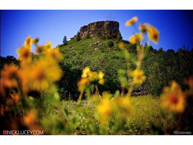 474 Black Feather Loop 4-401, Castle Rock, CO 80104