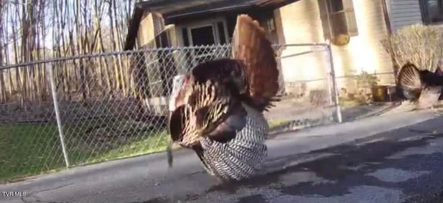 589 Headtown Road, Jonesborough, TN 37659
