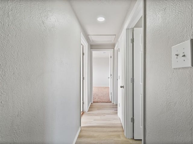 5210 Honeysuckle, Corpus Christi, TX 78415