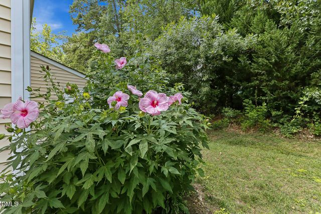 228 Harbor Haven Drive, Apex, NC 27502