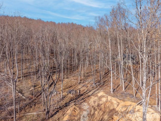 6 Pioneer Lane, Fletcher, NC 28732