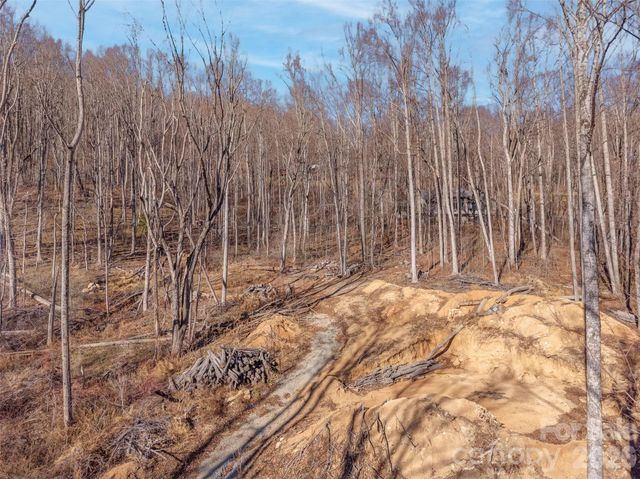 6 Pioneer Lane, Fletcher, NC 28732