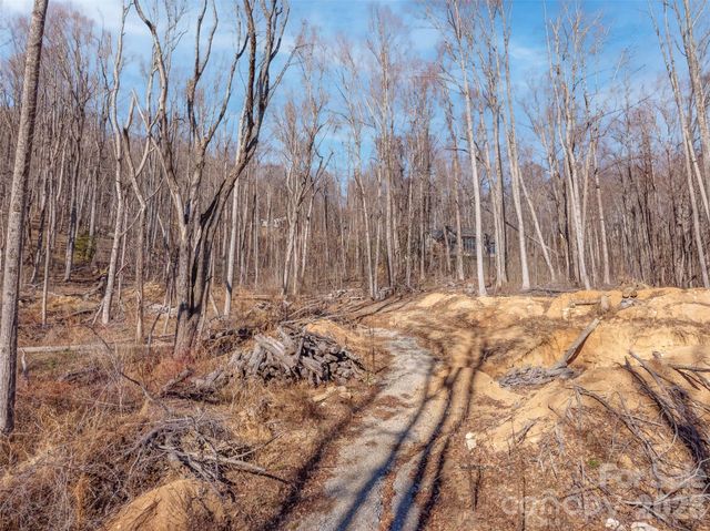 6 Pioneer Lane, Fletcher, NC 28732