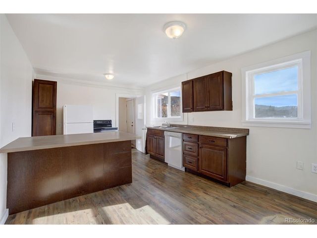 50 Singleton Rd, Alma, CO 80420