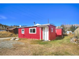 50 Singleton Rd, Alma, CO 80420