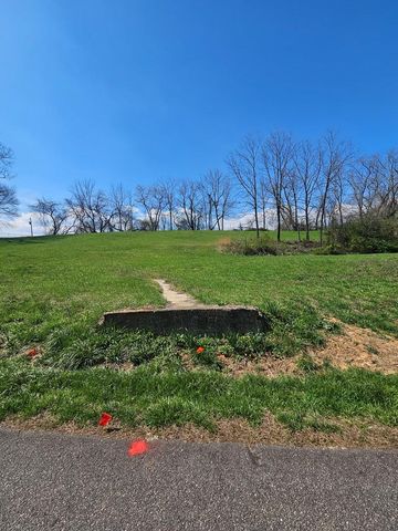 0 Mcglamery Farm Drive, Hayesville, NC 28904