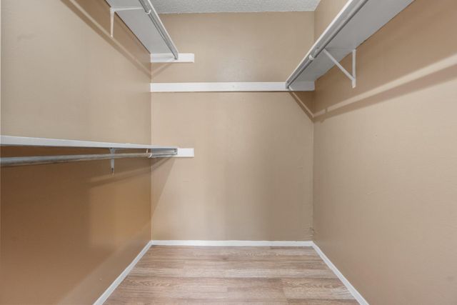 3404 Willow run CV, Austin, TX 78704