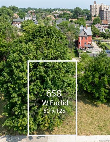 658 W Euclid Street, Detroit, MI 48202