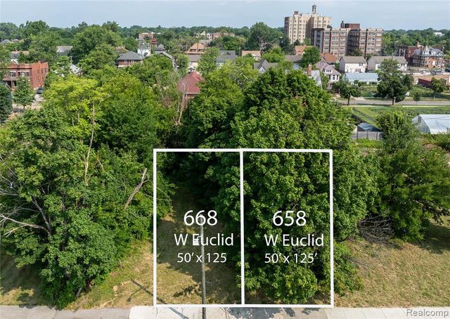 658 W Euclid Street, Detroit, MI 48202