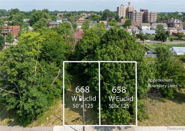 658 W Euclid Street, Detroit, MI 48202
